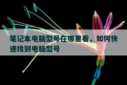 筆記本電腦型號在哪里看，如何快速找到電腦