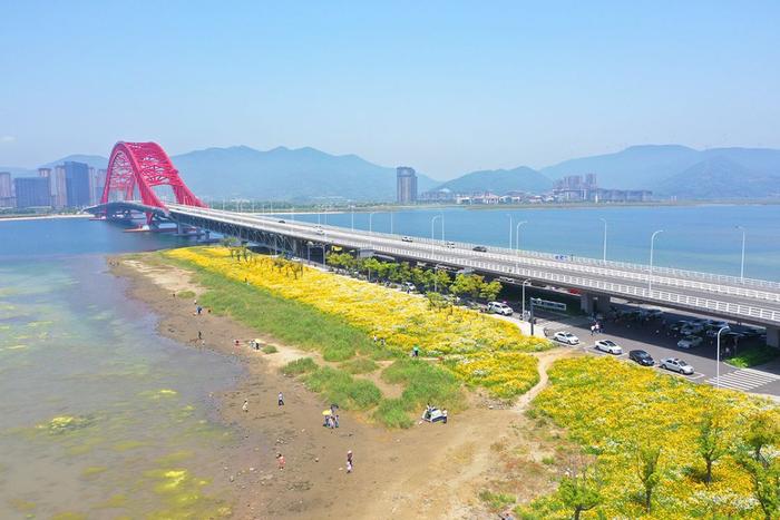 免費釣魚天堂，梅山灣花開成海，紅橋成網紅