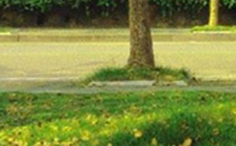 微信早安問候經典語錄