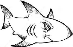 被誤解的鯊魚，大寫的心疼