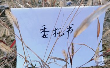 委托書 · 辦事直通車