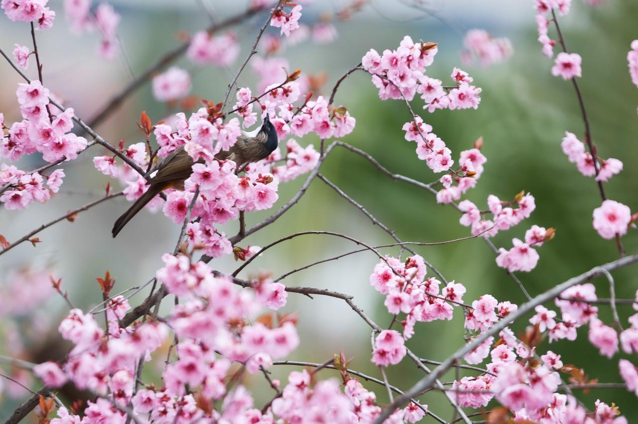 年最新送班主任新婚祝福語