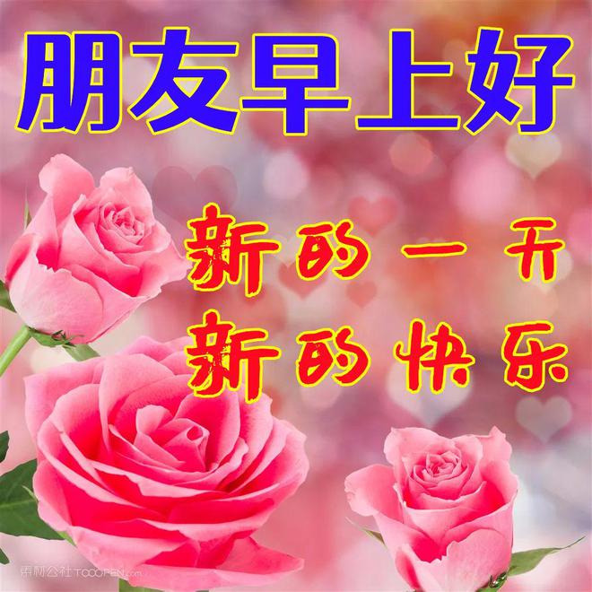 戰友早上好問候語_戰友們早上好問候_戰友早上好的問候語