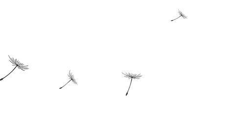 40歲女人生日祝福語_生日祝福女人的詞語_祝福生日語言女性