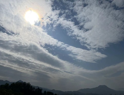 大學生生活困難補助申請范文5篇