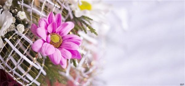 早安心語正能量滿滿的經(jīng)典語句 陽光簡短的