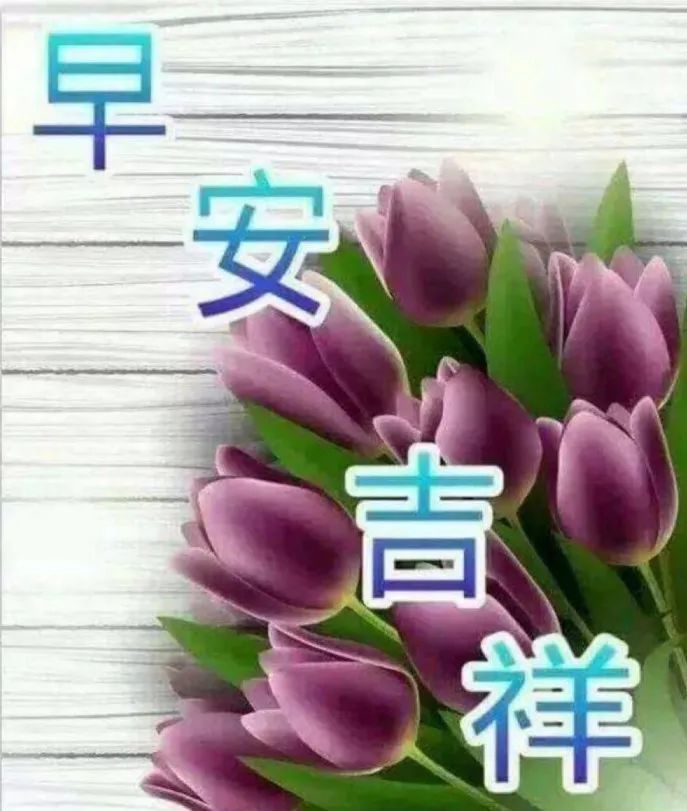 早安朋友圈問候語_問候朋友圈早安唯美句子_早安問候朋友短句