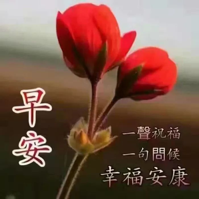 早安朋友圈問候語_早安問候朋友短句_問候朋友圈早安唯美句子