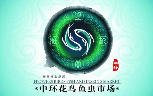 我國北方地區最大的魚市——天津中環花鳥魚