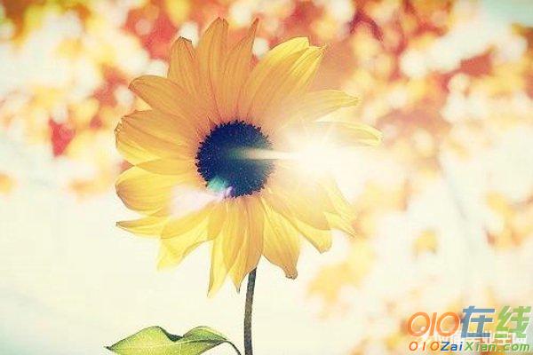 朋友的兒子結婚賀詞