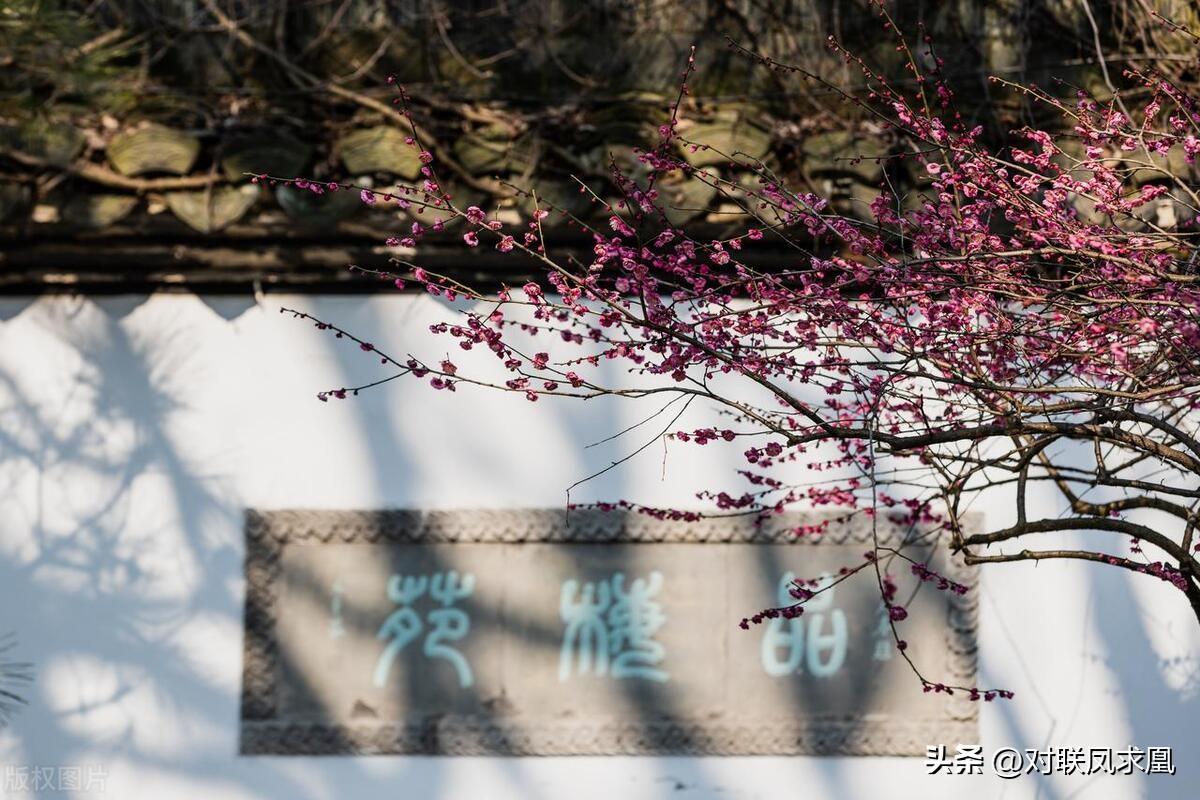 安息主懷對聯(lián)_主懷安息與安息主懷有何區(qū)別_安息主懷中