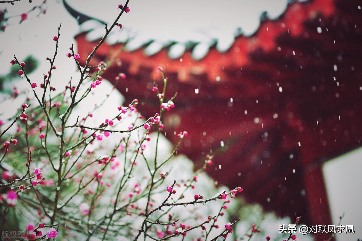 安息主懷對聯(lián)_安息主懷中_主懷安息與安息主懷有何區(qū)別