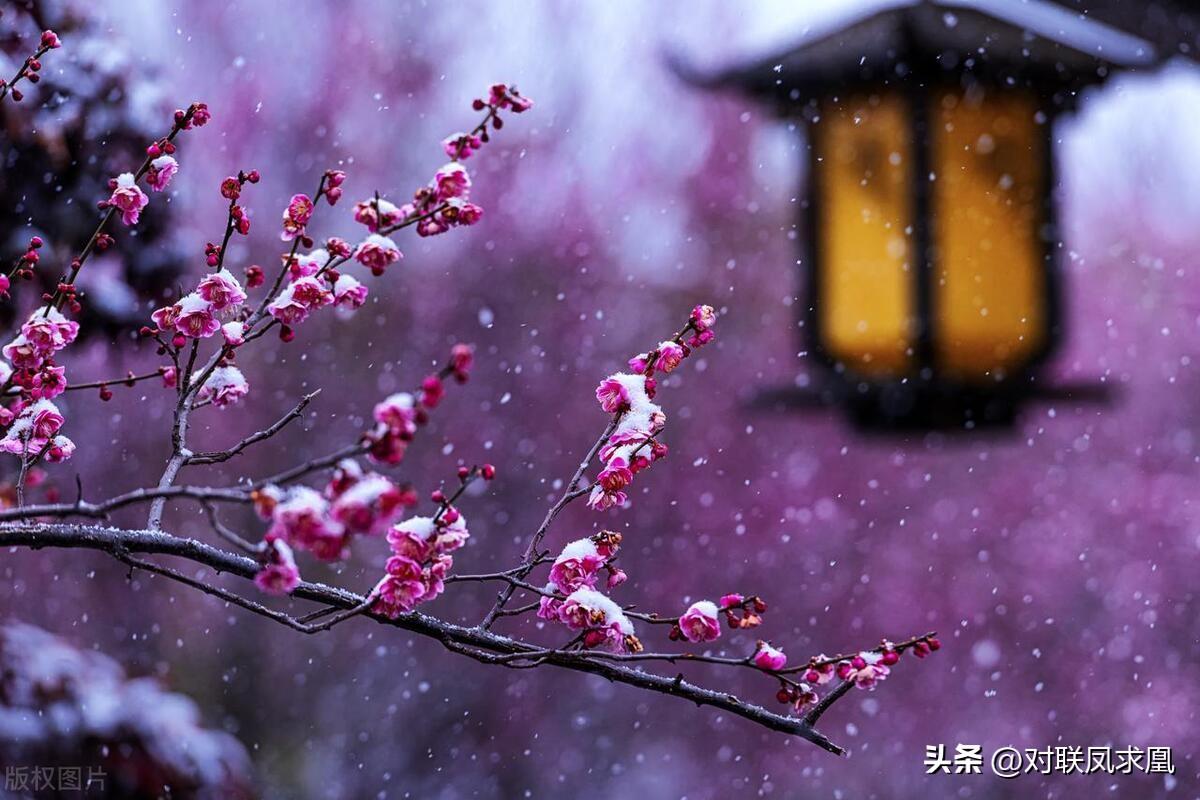 安息主懷對聯(lián)_主懷安息與安息主懷有何區(qū)別_安息主懷中