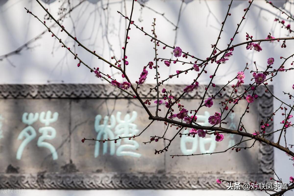 主懷安息與安息主懷有何區(qū)別_安息主懷中_安息主懷對聯(lián)