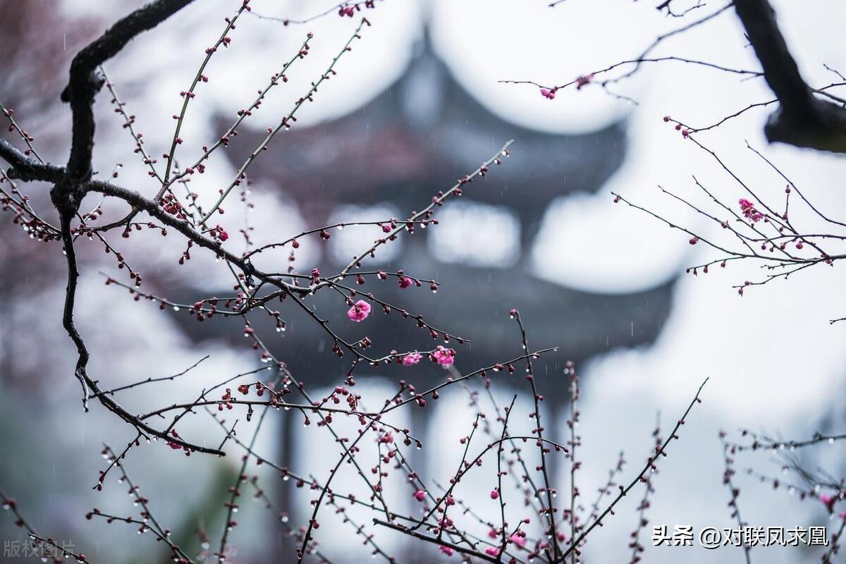 主懷安息與安息主懷有何區(qū)別_安息主懷對聯(lián)_安息主懷中