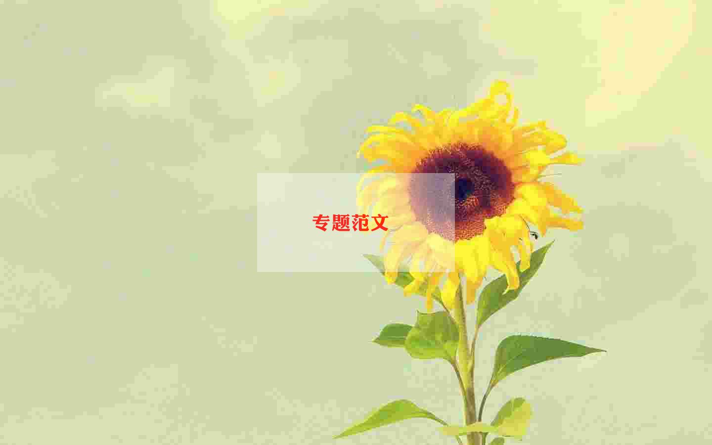 幼兒改名申請書范文7篇