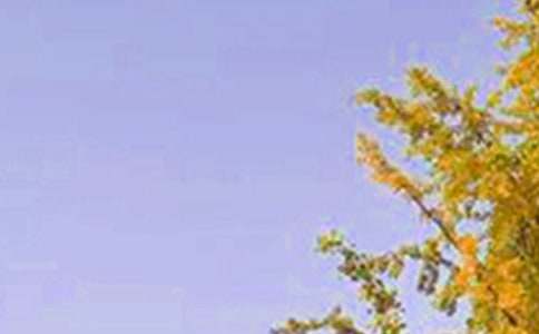 簡(jiǎn)潔的美好的早安問(wèn)候語(yǔ)短信摘錄40條