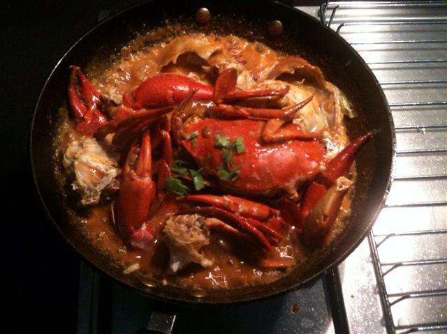 觀賞汽水魚有哪些品種_汽水觀賞魚有哪些_觀賞汽水魚有哪些