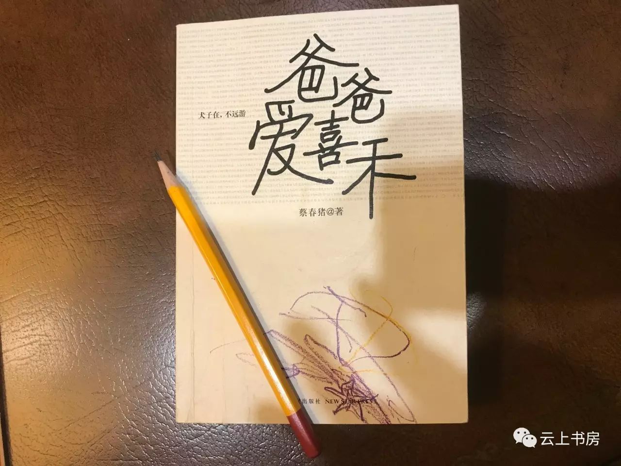 寫給兒子的一封信——《爸爸愛喜禾》