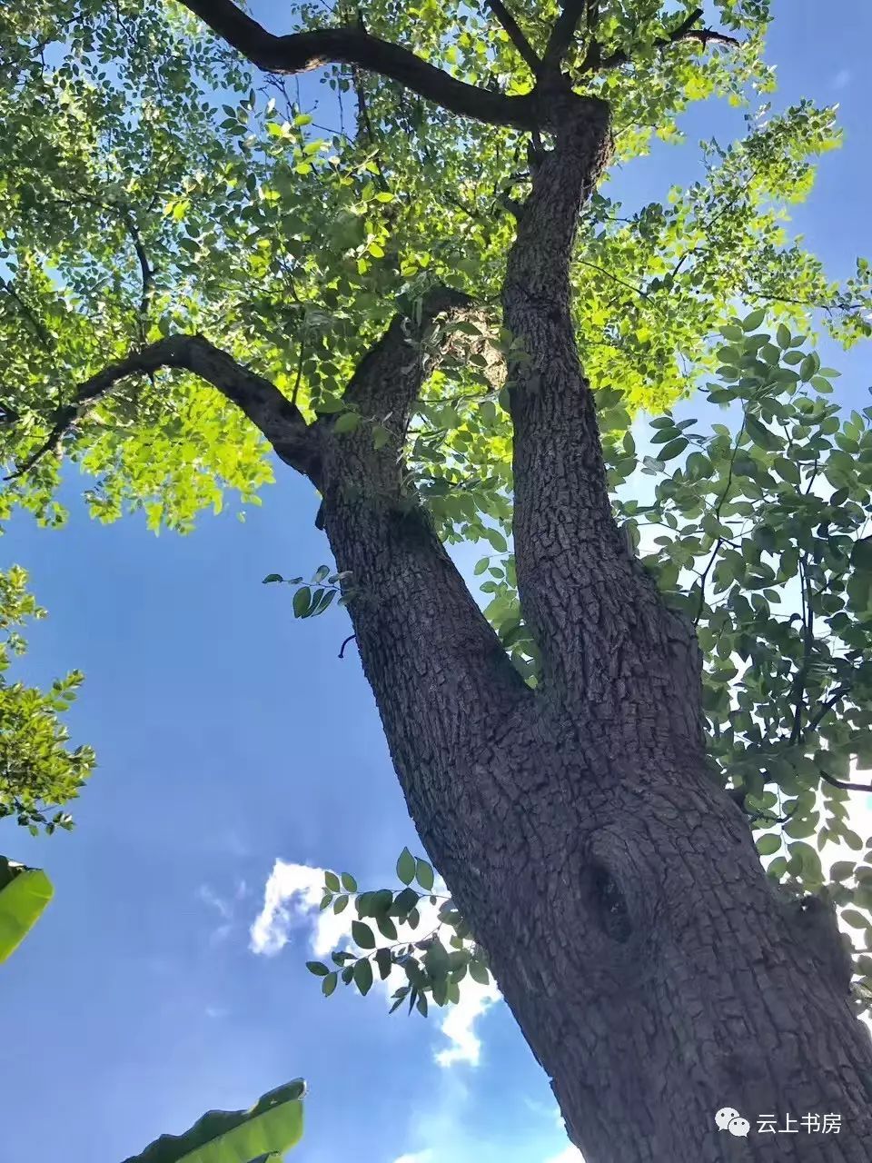 給外地的朋友寫一封信作文_給異地朋友寫明信片_給外地的小朋友寫一封信