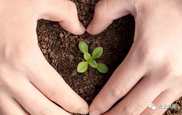 給外地的朋友寫一封信作文_給外地的小朋友寫一封信_(tái)給異地朋友寫明信片