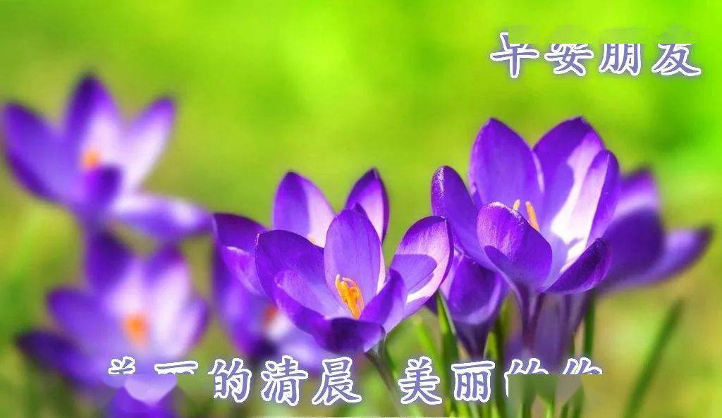 最溫暖人心的早安問候短信 發給朋友最甜蜜的早安祝福句子