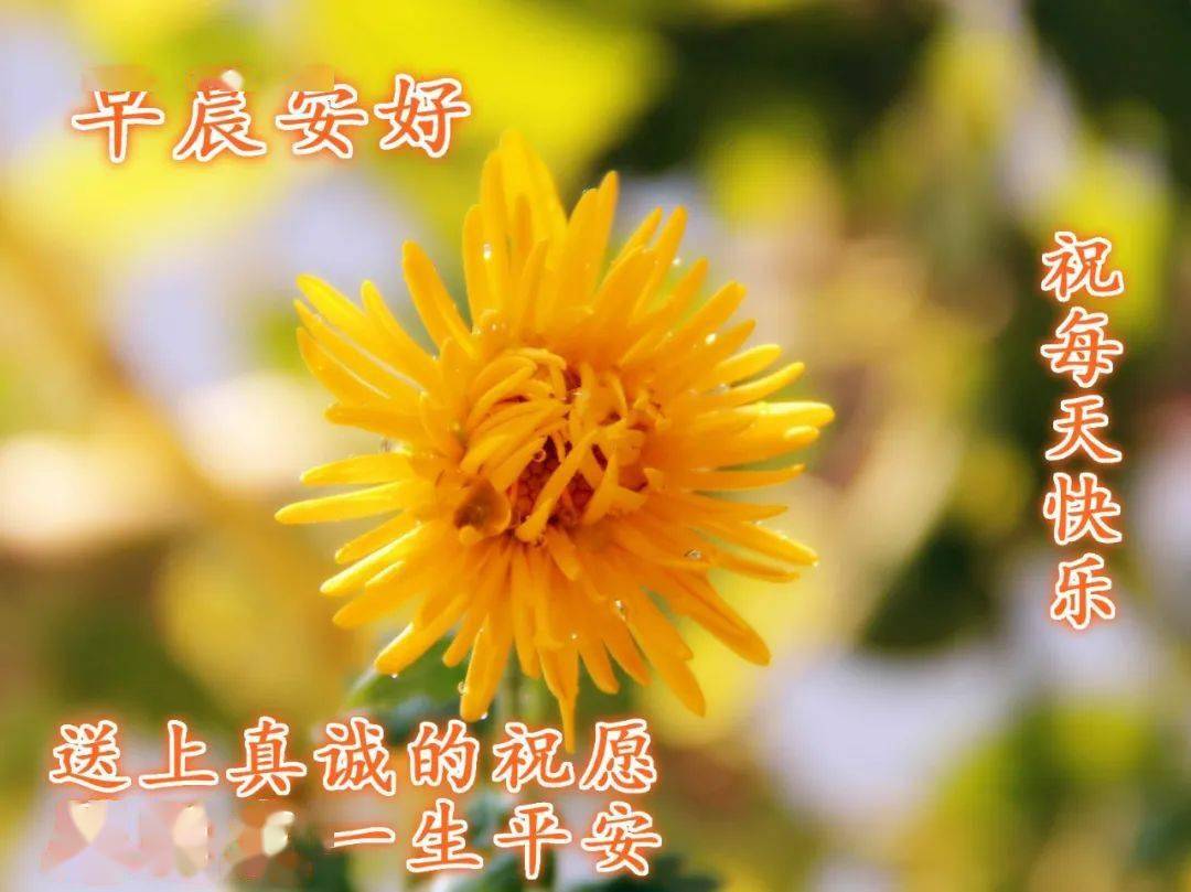 話溫馨短信早安祝福的句子_早安祝福短信最溫馨的話_溫馨的早安祝福短信