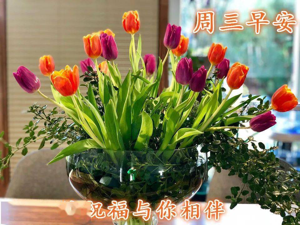 早安祝福短信最溫馨的話_話溫馨短信早安祝福的句子_溫馨的早安祝福短信