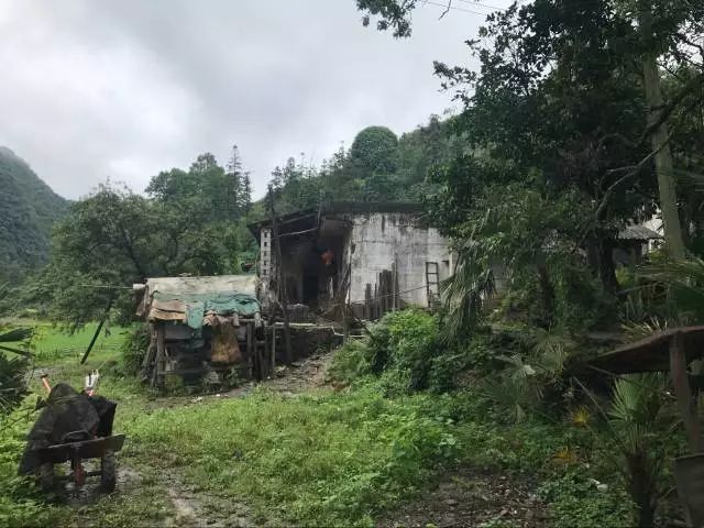 貧困戶申請書簡短_貧困戶申請書怎么寫_關(guān)于貧困戶的申請書