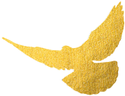 關于延安精神的演講比賽_延安精神演講稿1000字以上_關于延安精神的演講稿