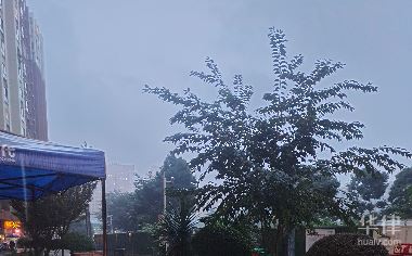 沒簽合同的勞務糾紛怎么賠償