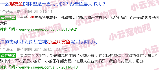 最漂亮的三湖魚_三湖魚品種大全_三湖魚觀賞魚大全