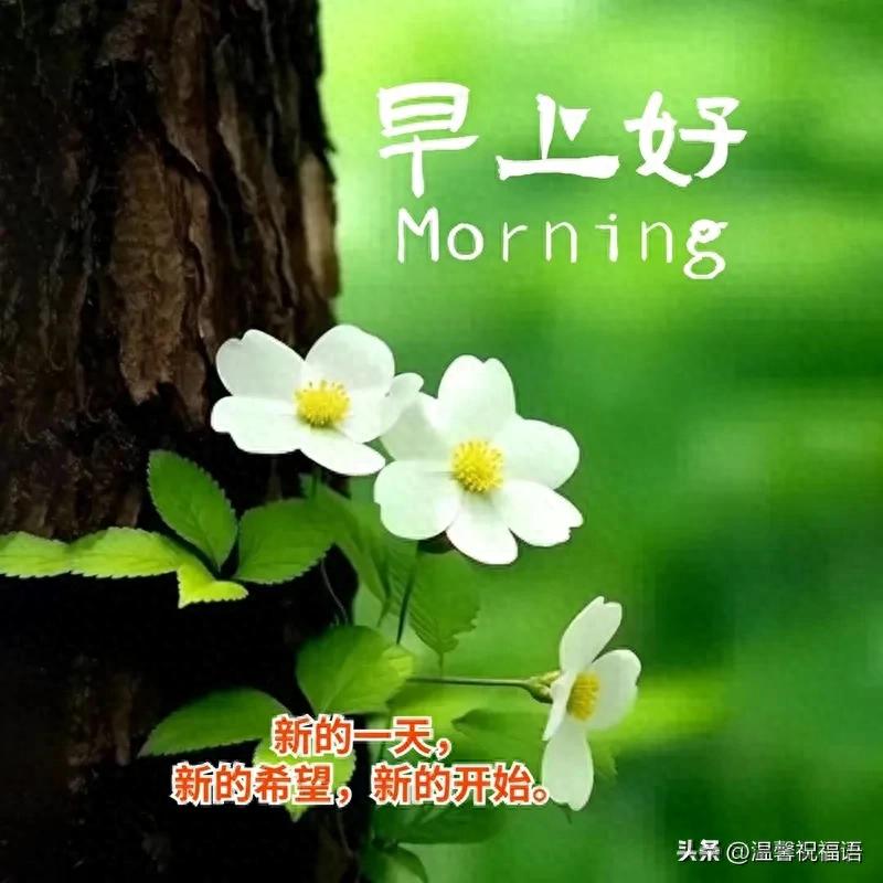 18句早上好問候語每日更新,正能量早安,很贊的短句