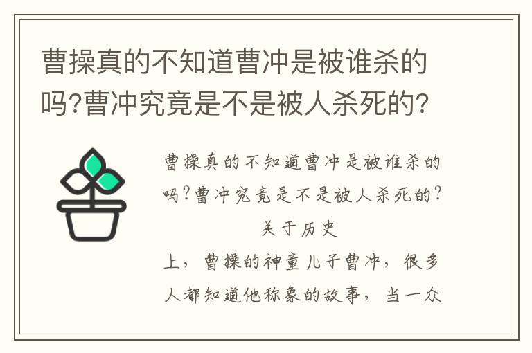 曹操真的不知道曹沖是被誰(shuí)殺的嗎?曹沖究竟是不是被人殺死的?