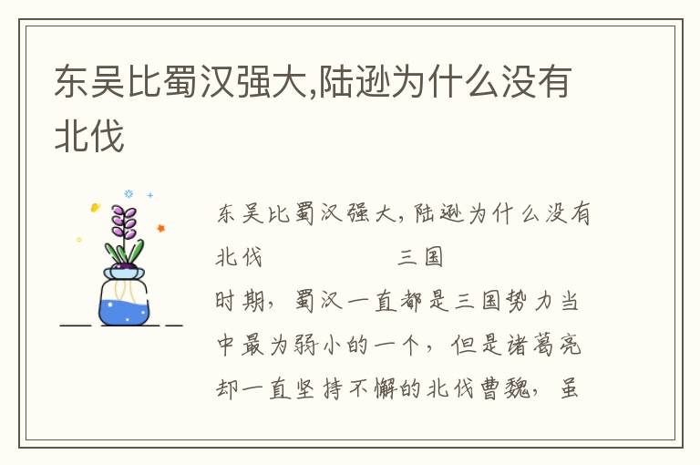 東吳比蜀漢強(qiáng)大,陸遜為什么沒有北伐