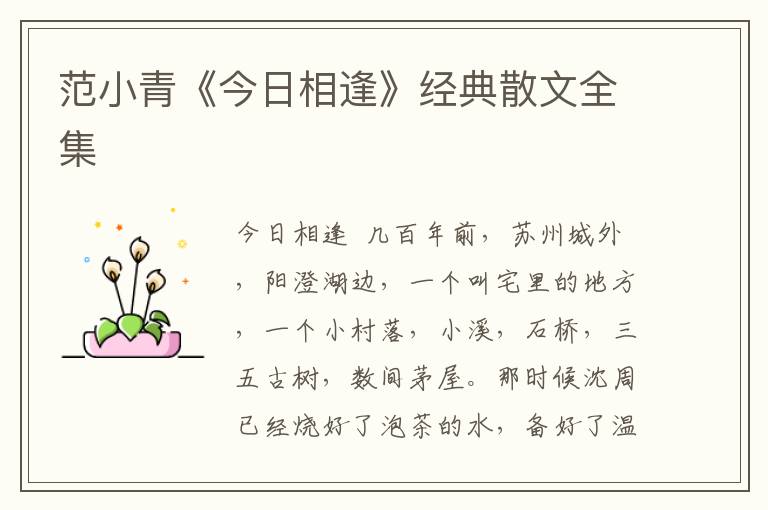 范小青《今日相逢》經典散文全集