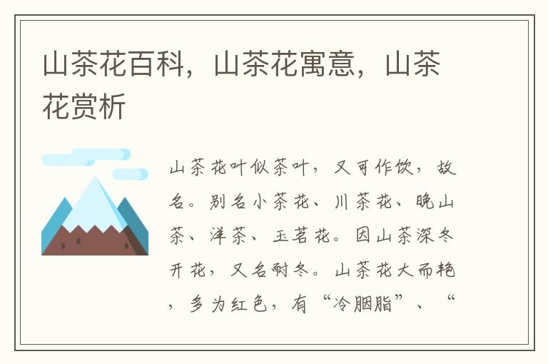 山茶花百科，山茶花寓意，山茶花賞析