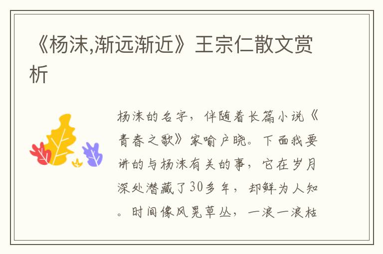 《楊沫,漸遠漸近》王宗仁散文賞析