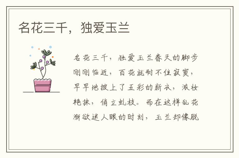 名花三千,獨愛玉蘭