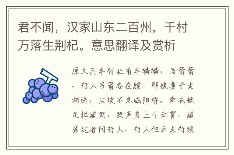 君不聞,漢家山東二百州,千村萬落生荊杞。意思翻譯及賞析