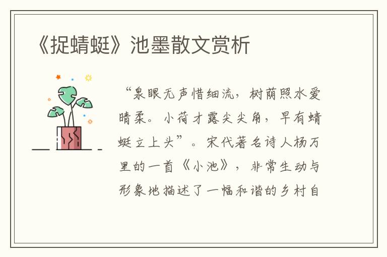 《捉蜻蜓》池墨散文賞析