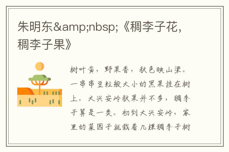 朱明東 《稠李子花,稠李子果》