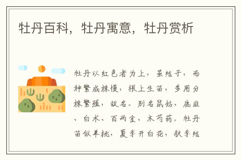 牡丹百科，牡丹寓意，牡丹賞析