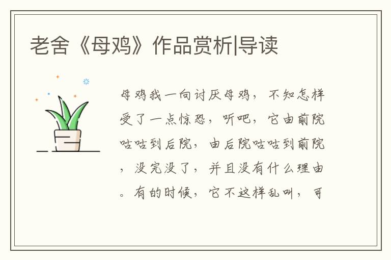 老舍《母雞》作品賞析|導(dǎo)讀