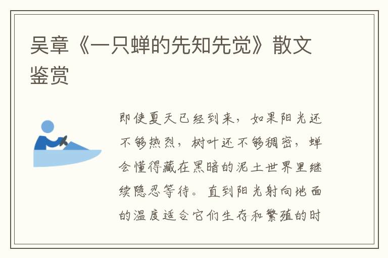 吳章《一只蟬的先知先覺》散文鑒賞