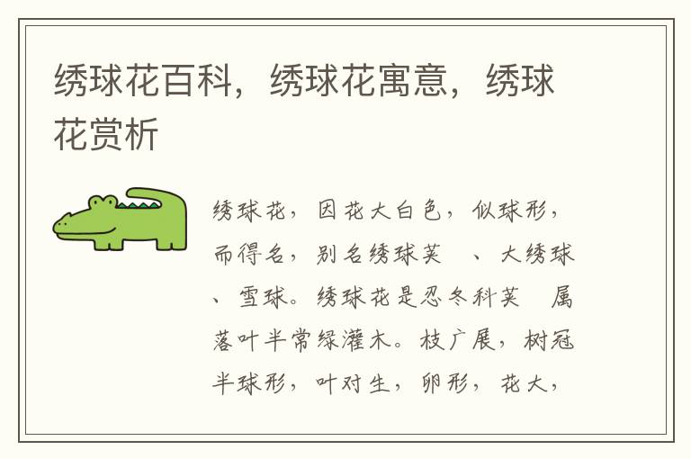 繡球花百科,繡球花寓意,繡球花賞析