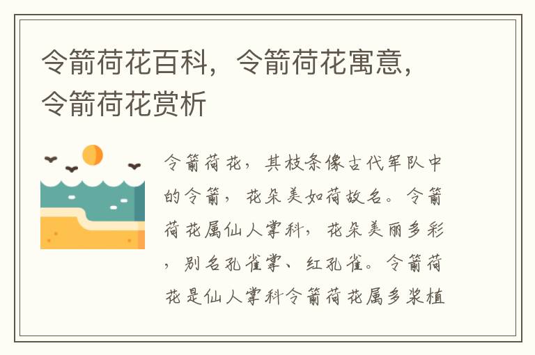 令箭荷花百科,令箭荷花寓意,令箭荷花賞析