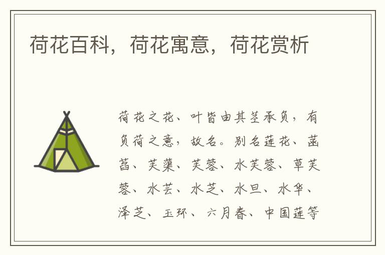 荷花百科，荷花寓意，荷花賞析