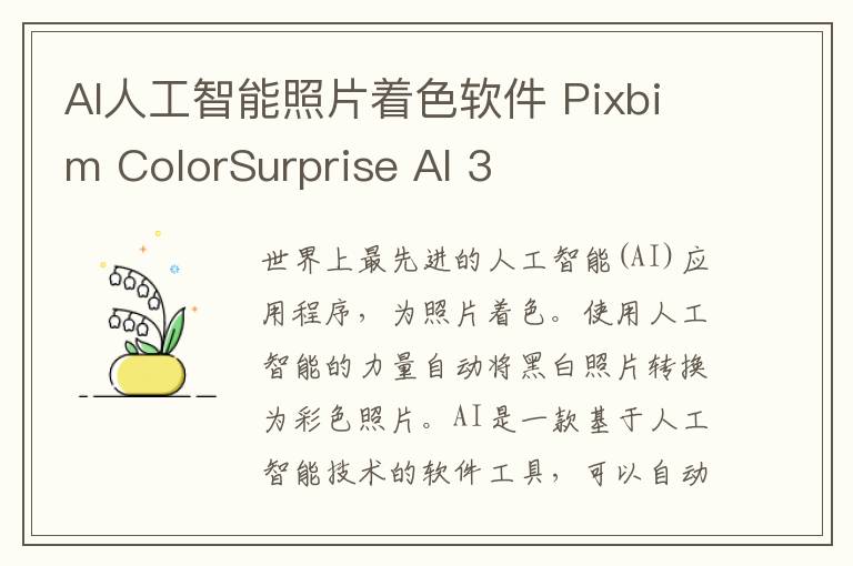 AI人工智能照片著色軟件 Pixbim ColorSurprise AI 3