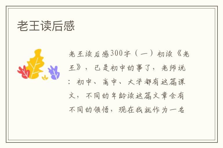 老王讀后感